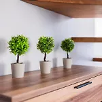 Caldera Apartment *